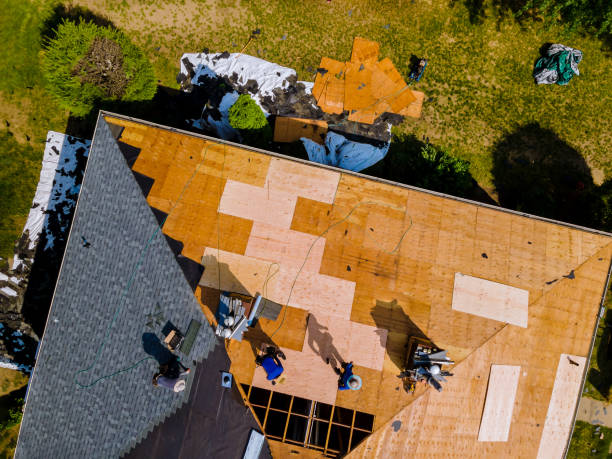 Best Roof Gutter Cleaning  in Kenova, WV