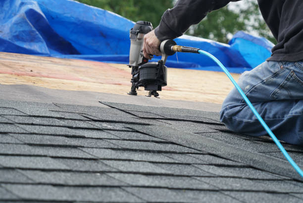 Best Roof Leak Repair  in Kenova, WV