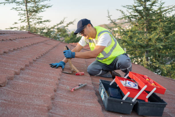 Best Storm Damage Roof Repair  in Kenova, WV