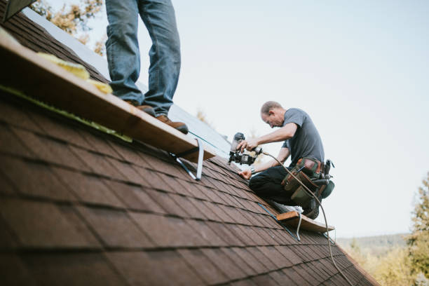 Best Residential Roof Replacement  in Kenova, WV